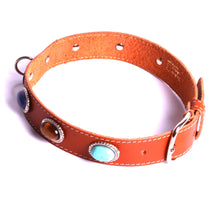 Charger l'image dans la galerie, Marque de luxe pour chien Harnais cuir pour chien Maroquinerie pour chien Collier chien cuir ethnique
