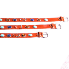 Charger l'image dans la galerie, Colliers et laisses pour animaux de compagnie