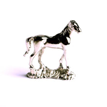 Charger l'image dans la galerie, Collection équitation. Cheval à offrir. Cadeau pour cavalier.