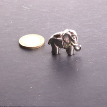 Charger l'image dans la galerie, éléphant trompe en l’air