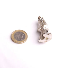 Charger l'image dans la galerie, sujet en métal sujet collection marmottes