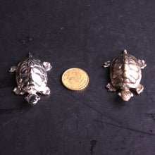 Charger l'image dans la galerie, tortue porte bonheur