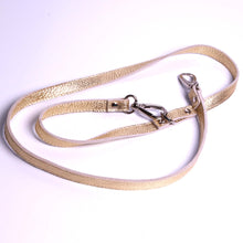 Charger l'image dans la galerie, Laisse pour animal compagnie Laisse promenade animaux