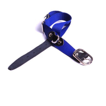 Charger l'image dans la galerie, Accessoire de mode pour animaux Parure bijoux pour animaux Personnalisation collier cuir chien Création bijoux petit chien