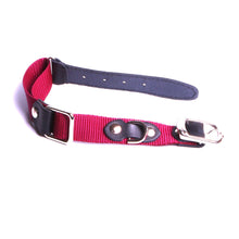 Charger l'image dans la galerie, Collier résistant chien Fabrication collier chien Collier chien made in France Collier chier artisanal Collier chien sur mesures
