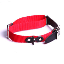 Charger l'image dans la galerie, Colliers et bijoux pour animaux de compagnie Fournitures pour animaux - Vêtements, accessoires et chaussures pour animaux -