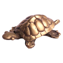 Charger l'image dans la galerie, Réplique tortue relief