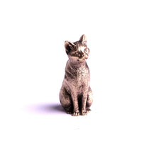 Charger l&#39;image dans la galerie, reproduction chat miniature 
