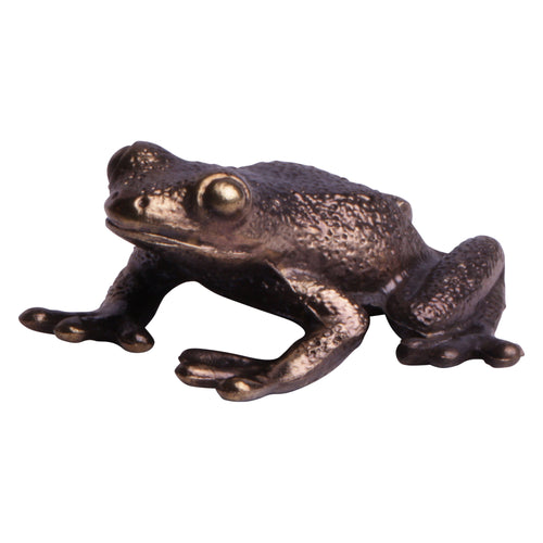 Grenouille porte bonheur